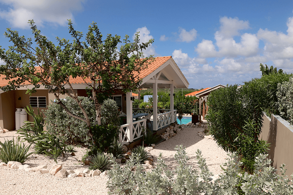 Villa Vida Pura bandabou